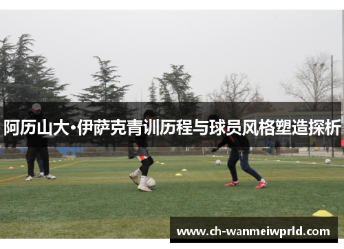 阿历山大·伊萨克青训历程与球员风格塑造探析