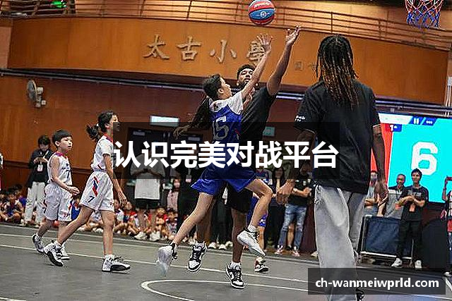 认识完美对战平台